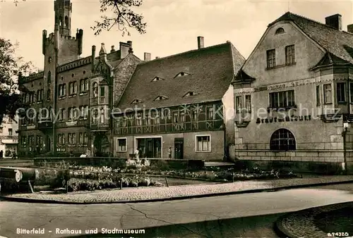 Bitterfeld Rathaus Stadtmuseum Kat. Bitterfeld