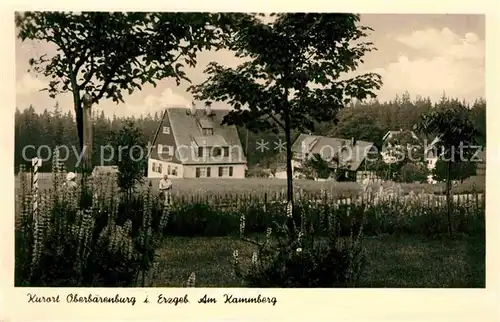 Oberbaerenburg Am Kammberg