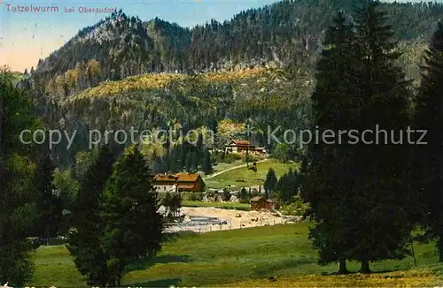 Oberaudorf Bergwitschaft Tatzelwurm Kat. Oberaudorf