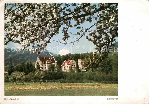 Brannenburg Schloss  Kat. Brannenburg