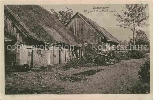 Stemlisberg Weg nach dem Kahlenwasen  Kat. Breitenbach Haut Rhin