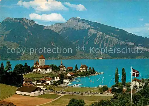 Spiez Thunersee BE Ralligstoecke Burg Kat. Spiez