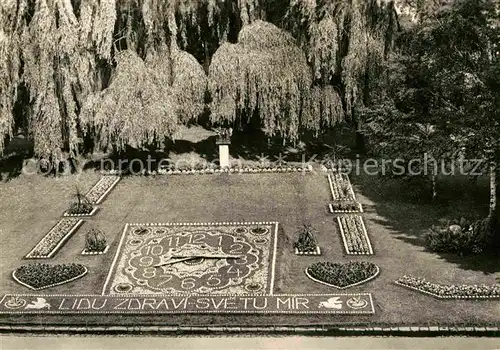 Lazne Podebrady Blumenuhr Kat. Tschechische Republik