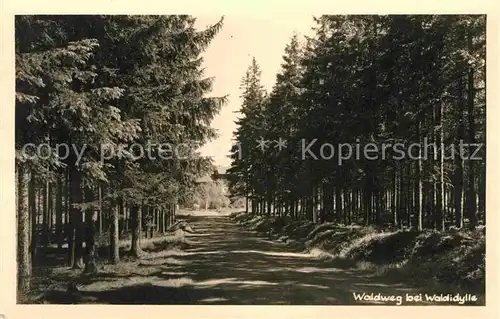 Waldidylle Waldweg Kat. Altenberg