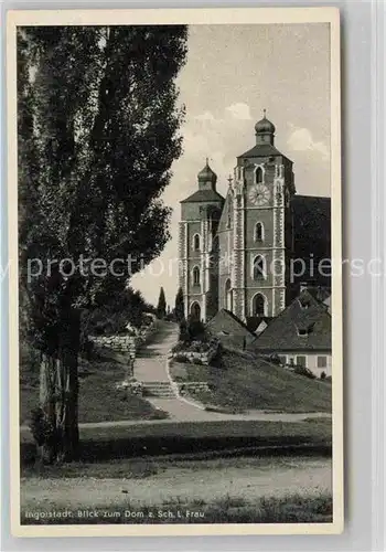 Ingolstadt Donau Blick zum Dom Kat. Ingolstadt