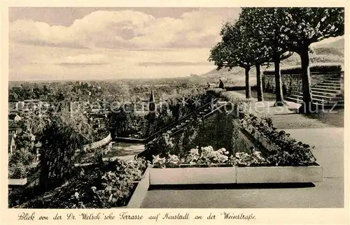 Neustadt Weinstrasse Blick von der Dr. Welschsche Terrasse Kat. Neustadt an der Weinstr.