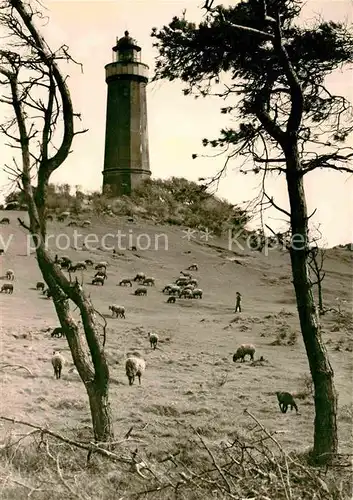 Insel Hiddensee Leuchtturm Dornbusch  Kat. Insel Hiddensee