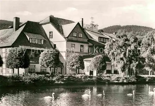 Ilsenburg Harz Forellenteich  Kat. Ilsenburg Harz