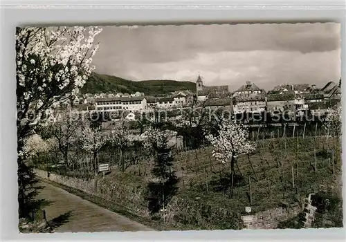 Gimmeldingen  Kat. Neustadt an der Weinstr.