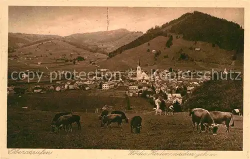 Oberstaufen Ansicht von Stiessberg mit Kalzhofen Kat. Oberstaufen