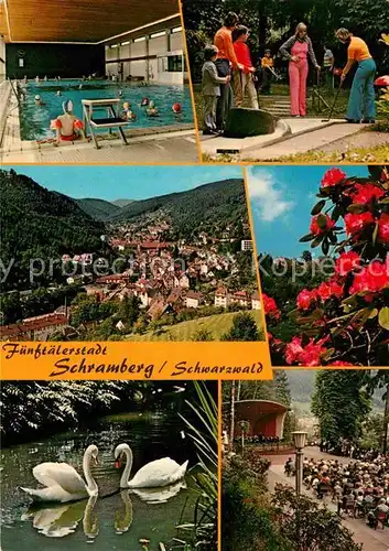 Schramberg Hallenbad Minigolfplatz Panorama Schwanenteich Konzertplatz Kat. Schramberg