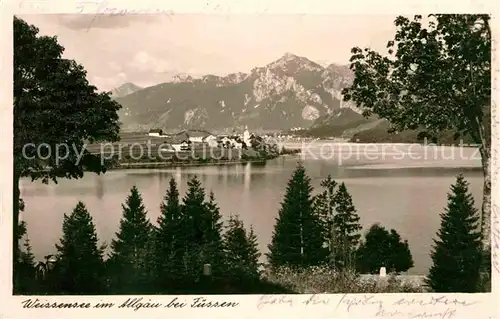 Weissensee Fuessen Panorama Kat. Fuessen