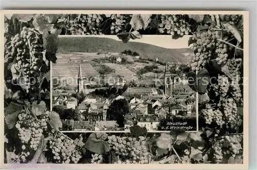 Neustadt Weinstrasse Ortsansicht mit Blick auf die Weinberge Weinreben Kat. Neustadt an der Weinstr.