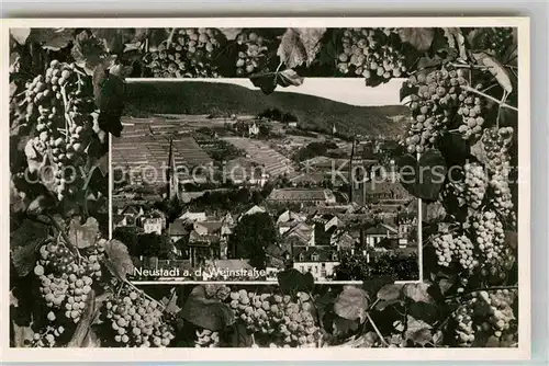 Neustadt Weinstrasse Ortsansicht mit Weinbergen Weinreben Bromsilber Kat. Neustadt an der Weinstr.