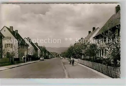 Landau Pfalz Siedlung Wollmesheimer Hoehe Limburgstrasse Kat. Landau in der Pfalz