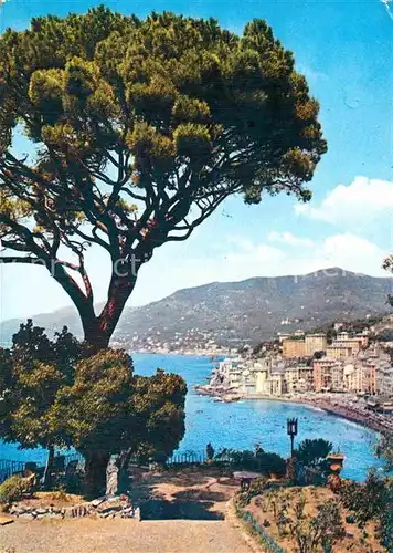 Camogli Panorama dalla pineta del Castellaro Kat. Italien