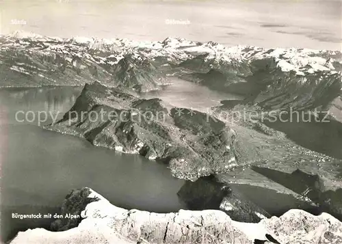 Buergenstock mit den Alpen Kat. Buergenstock