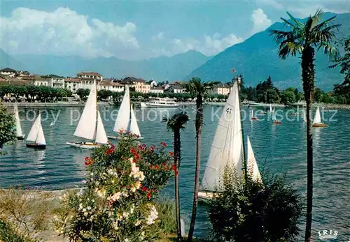 Ascona Lago Maggiore Segeln Alpen