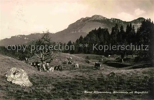 Schwarzenberg LU Boemmernalp mit Regenfluehli Kat. Schwarzenberg LU