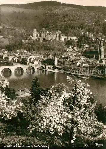 Foto Popp Nr. 185 Baumbluete in Heidelberg  Kat. Fotografie