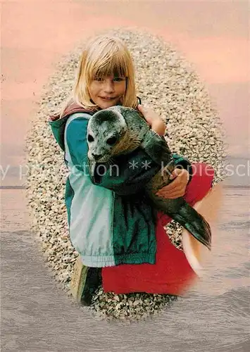 Seehunde Robben Kind  Kat. Tiere