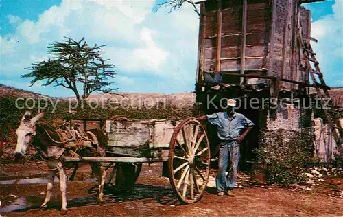 Landwirtschaft Primitive water transportation Eselkarre Kat. Landwirtschaft