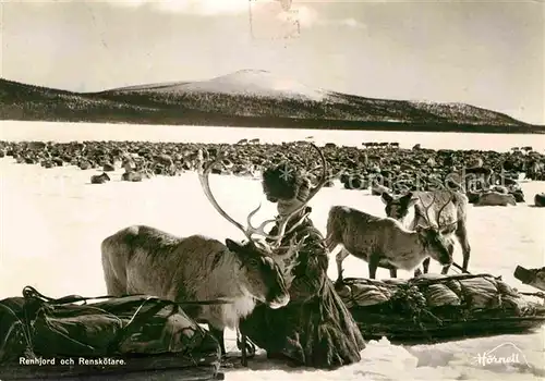 Rentier Renhjord och Renskoetare Kat. Tiere