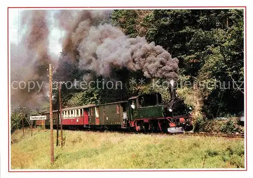 Lokomotive Ausfahrt Bahnhof Seifersdorf  Kat. Eisenbahn