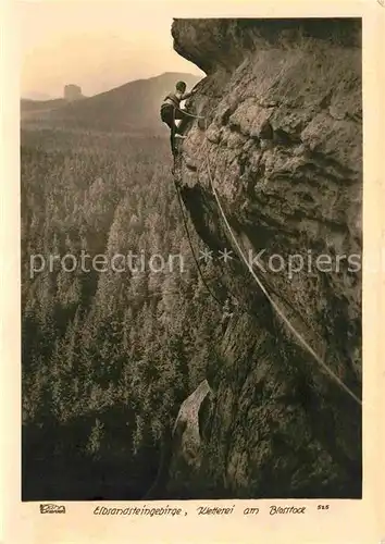 Foto Hahn Nr. 525 Elbsandsteingebirge Kletterei am Blosstock  Kat. Fotografie