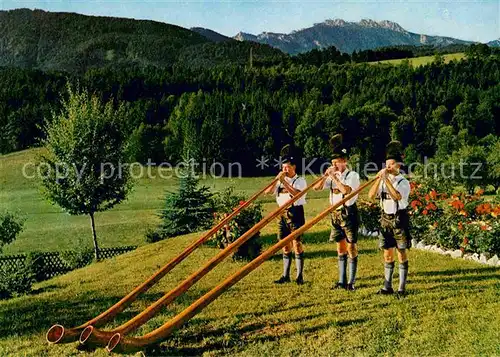 Alphorn Alphornblaeser Bernauer Buam Bernau Chiemsee Kampenwand  Kat. Musik