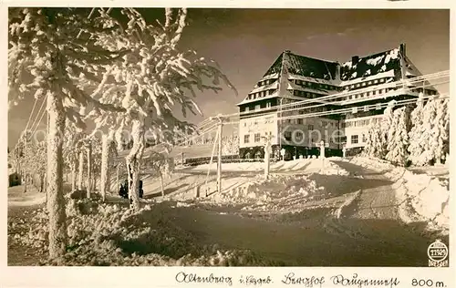 Foto Hahn Nr. 11929 Altenburg Erzgebirge Berghof Raupennest Kat. Fotografie