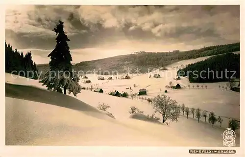 Foto Hahn Nr. 6188 Rehefeld Erzgebirge  Kat. Fotografie