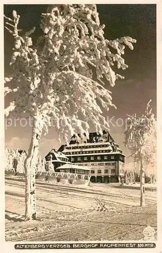 Foto Hahn Nr. 11936 Altenberg Erzgebirge Berghof Raupennest  Kat. Fotografie