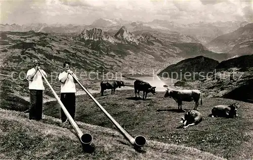 Alphorn Alphornblaeser Rigi Kulm Kuehe  Kat. Musik