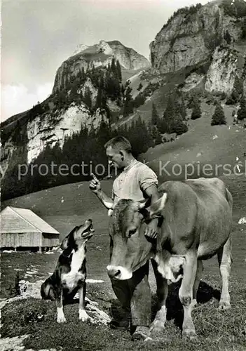 Kuehe Hund Alm  Kat. Tiere