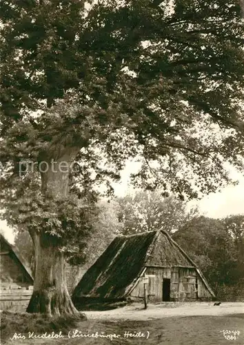 Foto Popp Nr. 1889 Undeloh Lueneburger Heide  Kat. Fotografie