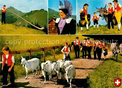 Alphorn Tracht Alpabzug  Ziegen Schweiz  Kat. Musik