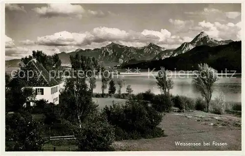 Weissensee Fuessen Panorama Kat. Fuessen