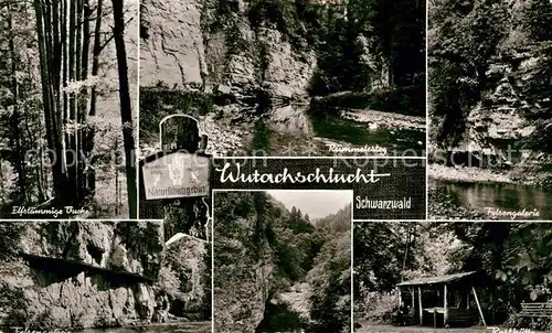 Lenzkirch Wutachschlucht Elfstaemmige Buche Ruemmelesteg Felsengalerie Rasthuette Naturschutzgebiet Kat. Lenzkirch