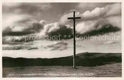 Feldberg Schwarzwald Blick vom Herzogenhorn Gipfelkreuz Kat. Feldberg (Schwarzwald)