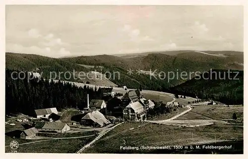 Feldberg Schwarzwald Hotel Feldbergerhof Kat. Feldberg (Schwarzwald)