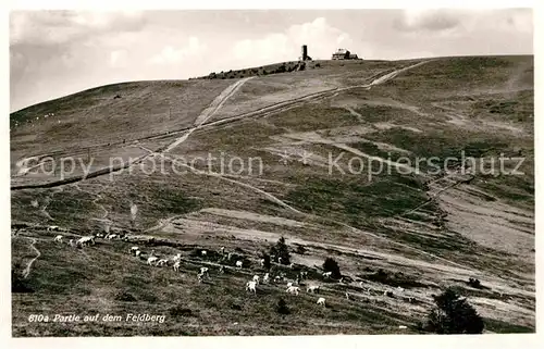 Feldberg Schwarzwald Blick zum Feldbergturm Gasthaus Kat. Feldberg (Schwarzwald)