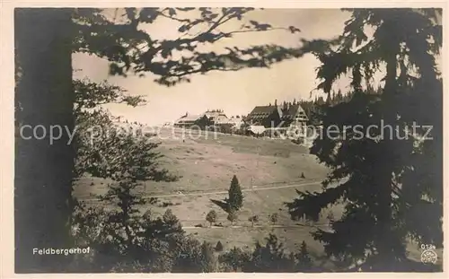 Feldberg Schwarzwald Durchblick zum Hotel Feldbergerhof Kat. Feldberg (Schwarzwald)