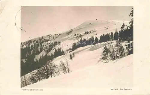 Feldberg Schwarzwald Winterpanorama am Seebuck Kat. Feldberg (Schwarzwald)