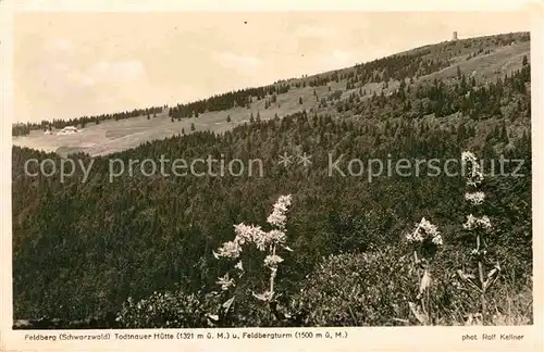 Feldberg Schwarzwald Panorama Blick zur Todtnauer Huette und Feldbergturm Kat. Feldberg (Schwarzwald)