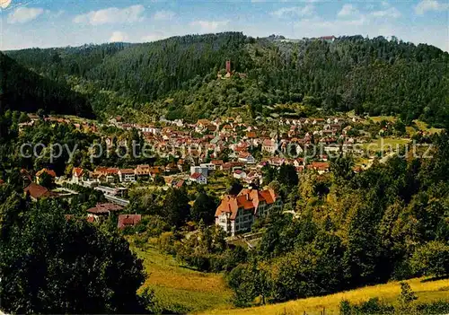 Bad Liebenzell Panorama Burg Kat. Bad Liebenzell