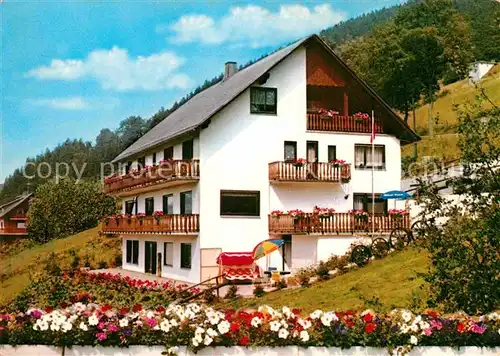 Willingen Westerwald Schwalefeld Haus Enzian Kat. Willingen