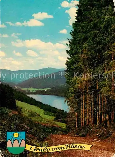 Titisee mit Feldbergblick Kat. Titisee Neustadt