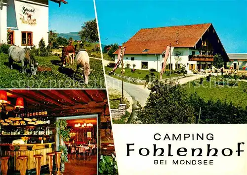 Mondsee Salzkammergut Camping Fohlenhof Kat. Mondsee