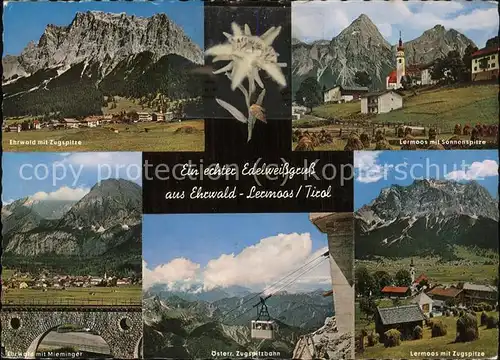 Edelweiss Zugspitzbahn Seilbahn Ehrwald Lermoos Sonnenspitze Kat. Pflanzen